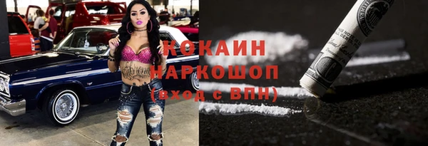 стаф Бородино
