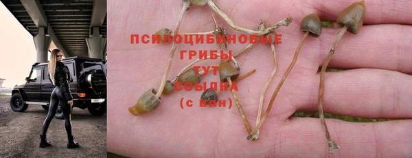 мдпв Бронницы