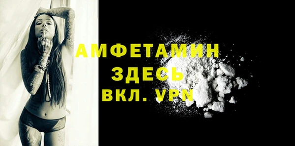 стаф Бородино