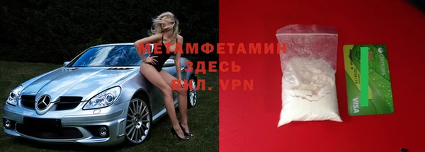 ПСИЛОЦИБИНОВЫЕ ГРИБЫ Богданович