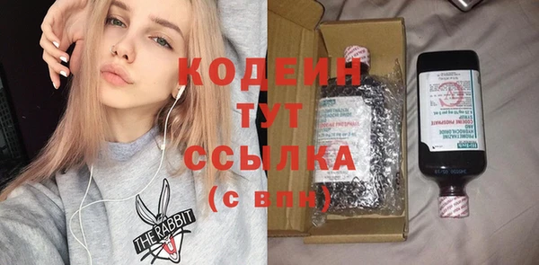 стаф Бородино