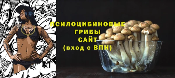спиды Богородицк